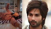 कोरोनाच्या विळख्यात शाहिद कपूरची ही अभिनेत्री, प्रकृती अद्यापही... 