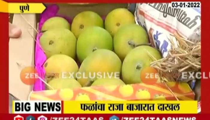 Pune First Box Of Ratnagiri Alphonso Mango Sold At Rupees 15000