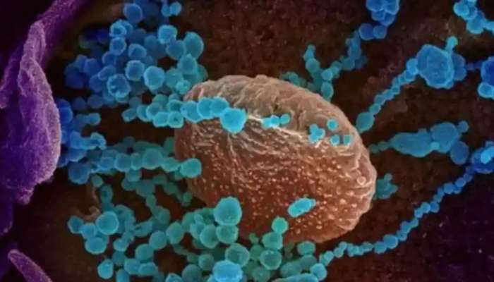 दिल्लीचे मुख्यमंत्री अरविंद केजरीवाल यांना कोरोनाची लागण 