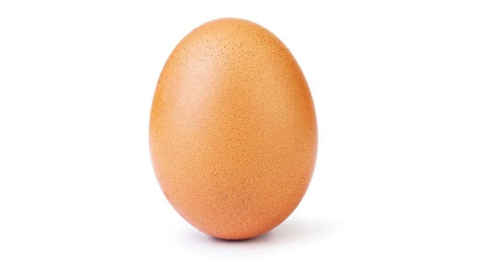 अंड्याच्या या फोटोची जगभरात चर्चा, पण का? या मागील कारण धक्कादायक