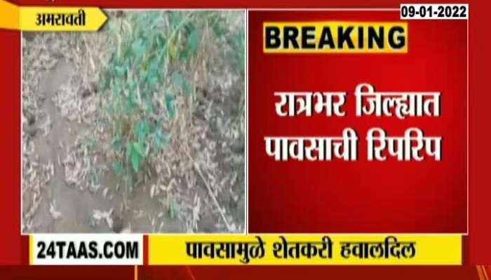 Amravati Farmers Reaction On Crops Damage From Unseasonal Rainfall