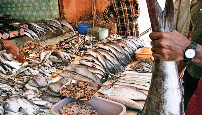 मासे विकणाऱ्या मुलीवर खिळल्या सगळ्यांच्या नजरा, तिचं सौंदर्य प्रेमात पाडणारं