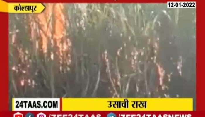 Kolhapur Fire In 22 Acre Of Sugarcane Farm