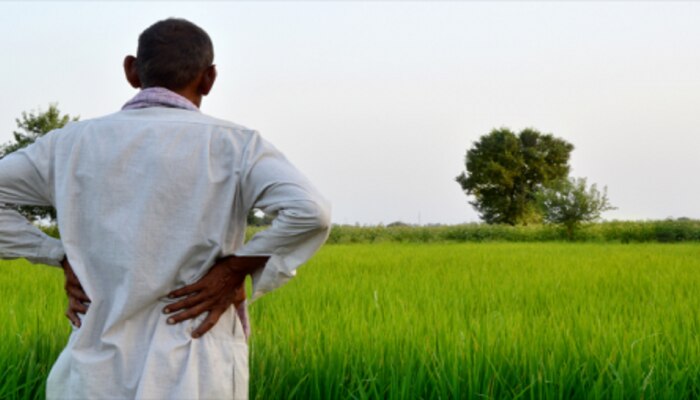 PM Kisan | &#039;या&#039; शेतकऱ्यांना परत करावे लागतील पीएम किसान योजनेचे पैसे; जाणून घ्या कारण