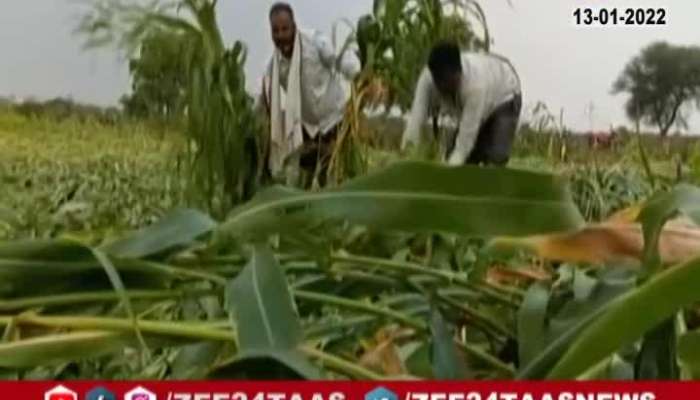 Red Alert In Vidarbha