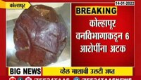 VIDEO : कोल्हापूर - व्हेल माशाची ३ कोटींची उलटी जप्त 