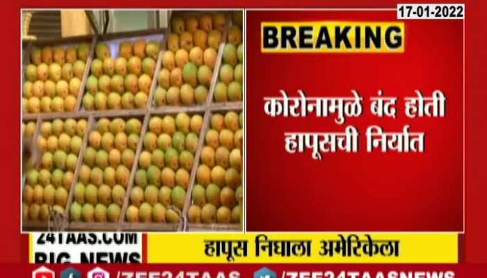 Clear The Way Export Of Hapus Mango