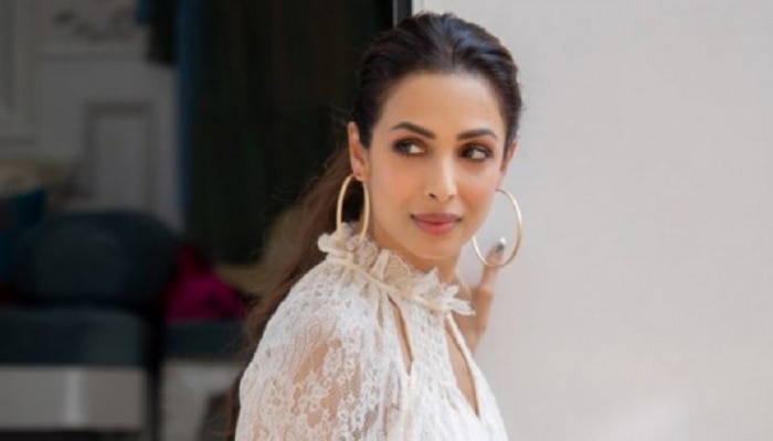 Malaika Arora  आलिशान घराचा लिविंग एरिया दाखवताना कोणाला पाहून दचकली?