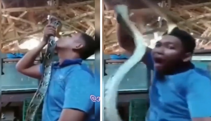 VIRAL VIDEO | सापाने घेतला खतरनाक बदला; नाहक मस्ती तरुणाला जबर भोवली