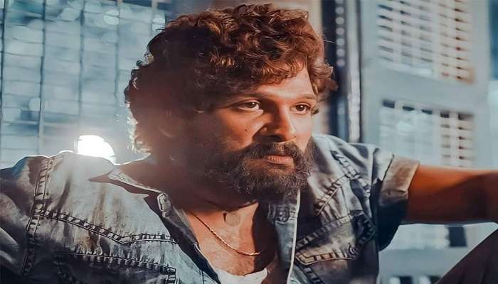 महिन्याभरानंतर का होतेय 'पुष्पा'वर बंदीची मागणी?