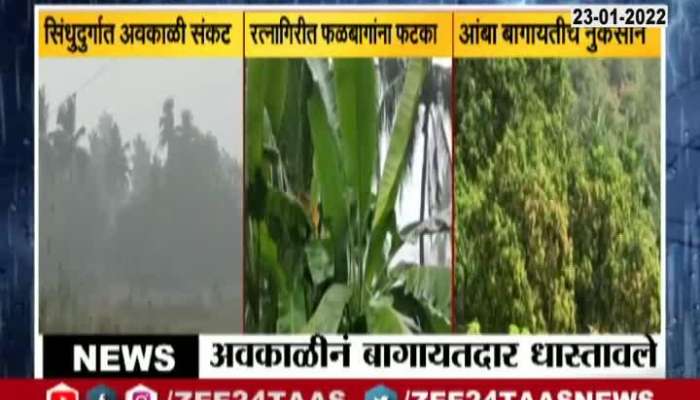 Ratnagiri Sindhudurg Farmers In Tension From Uncertain Rainfall Ground Report