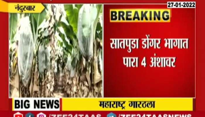 Khandesh Farmers In Tension Of Crops To Get Damage From Drop Temperature