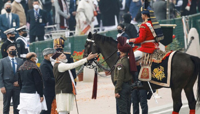 &#039;विराट&#039; घोडा... याने का लावला PM मोदी, राष्ट्रपती आणि संरक्षण मंत्र्यांना लळा?