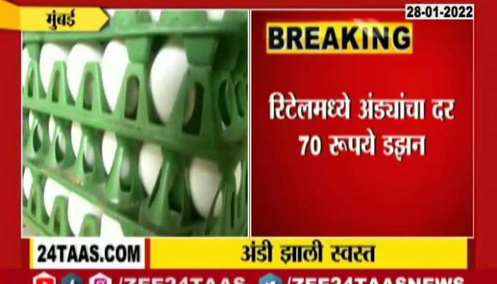 Maharashtra Eggs Price Reduced
