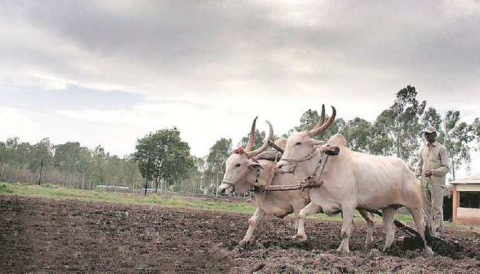 शेतकऱ्यांच्या फायद्याच्या योजना! खतांपासून ते ट्रॅक्टर खरेदीवर मिळणार मोठी सवलत