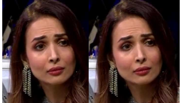   मलायका अरोराला 'कमीनी' असं कोण म्हणालं? त्या वक्तव्यामुळे एकच चर्चा...