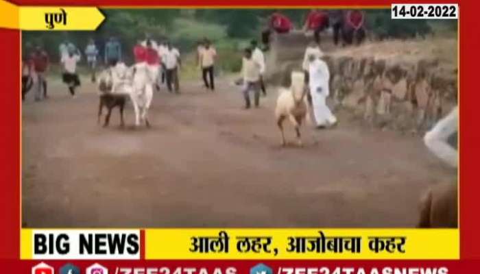 Pune 75 Year Old Age Madhukar Pachpute On Horse Riding