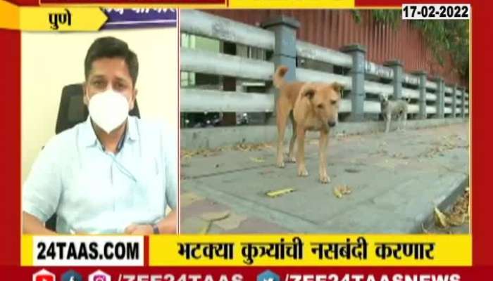 Pune Mahapalika Action On Stray Dogs