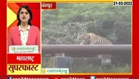 Video | महाराष्ट्र सुपरफास्ट | 21 फेब्रुवारी 2022