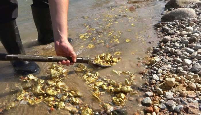 देशातील एक अशी नदी, जेथे पाण्यासोबत सोनंही वाहतं... अनेक वर्ष लोकांच्या कमाईचं साधन ठरतेय &#039;ही&#039; नदी