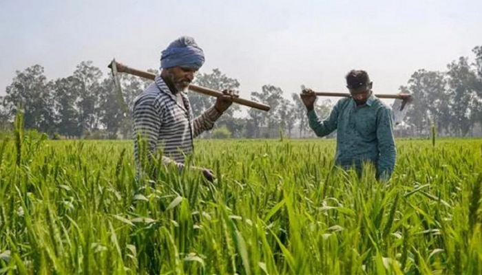 PM KISAN : पीएम किसान योजनेचा 4000 हफ्ता आला नसल्यास; लगेच करा हे काम