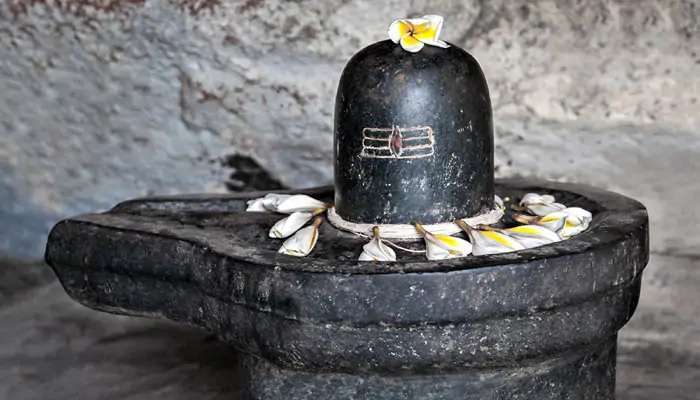 Mahashivratri 2022 : महाशिवरात्रीच्या दिवशी करा हे उपाय, प्रत्येक समस्या होईल दूर