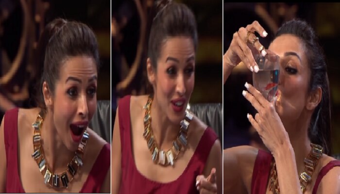 Malaika Arora च्या एका Kiss नं कागदावरचा मासा चक्क जिवंत झाला.... 