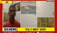 Video | वन्यजीवन छायाचित्रकारांना व्यासपीठ, पाहा माहिती