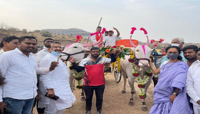 बैलगाडा शर्यतीच्या फोटोला सुप्रिया सुळे यांनी पाहा काय दिली टॅग लाईन