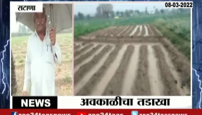 Nashik Satana Farmer Reacts On Rabbi Crops Damage From Uncertain Rain