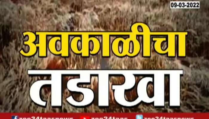  Pune Shirur Farmers In Problem From Unseasonal Rainfall