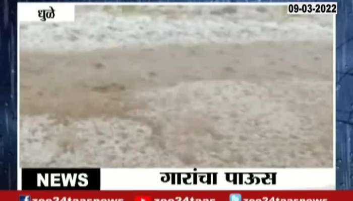 Uncertain Rain In Maharashtra Crop Loss