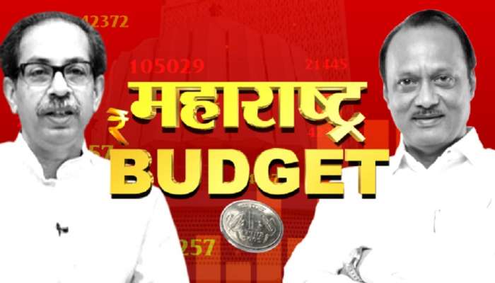 Maharashtra Budget : अर्थसंकल्पात अजित पवार यांच्या 10 मोठ्या घोषणा