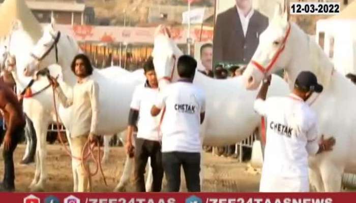 Kolhapur Jyotiba Horse Selection 