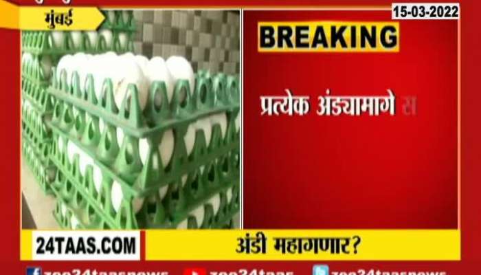 Mumbai Egg Price will be hike in Summer Time 