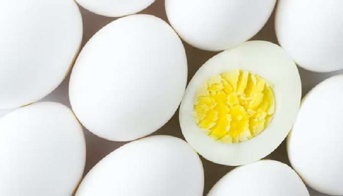 कुक्कुट खाद्याच्या किंमतीत 60 टक्के वाढ.. अंडी महागण्याची शक्यता