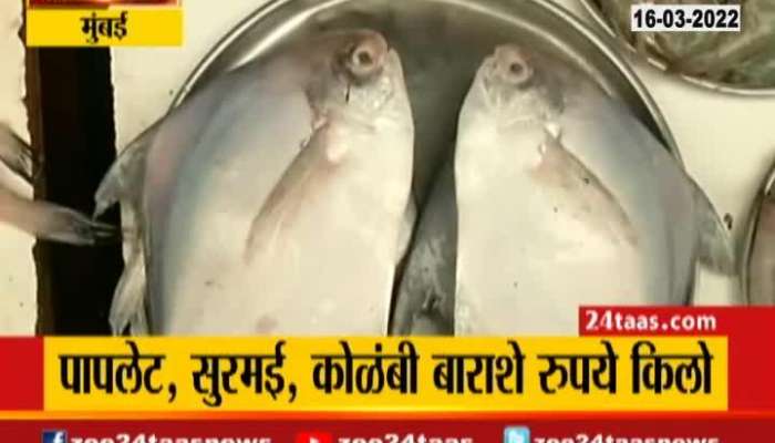 Mumbai Fish rate increse