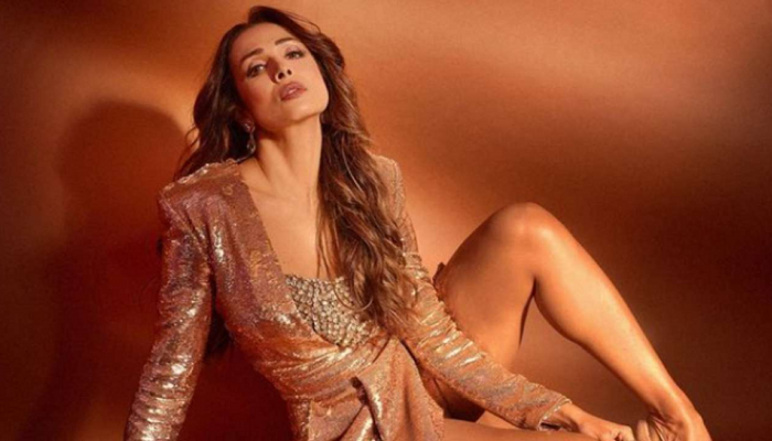 मलायका घेऊ पाहाते 'या' बॉलिवूड अभिनेत्रीची जागा, खास व्यक्तीच्या एन्ट्रीने होणार उलगडा