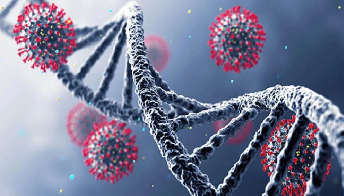 Hybrid Variant : कोरोनाच्या हायब्रिड व्हेरिएंटमुळे चौथ्या लाटेचा धोका? WHO अलर्टवर