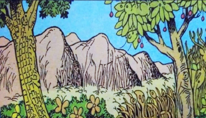 शोधून दाखवा तरच मानलं तुम्हाला! या फोटोमधील 6 प्राणी शोधा, तरच स्वतःला हुशार समजा