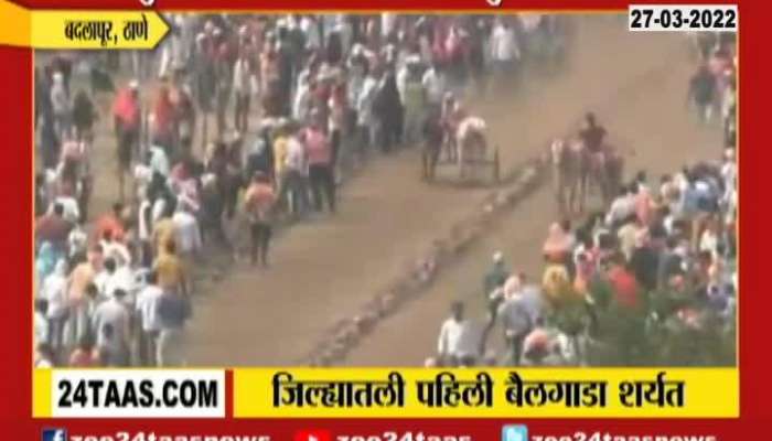 Badlapur Bullock Cart Race