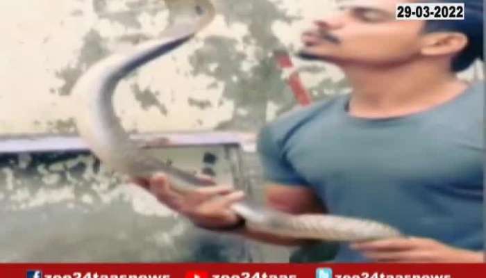 Sangli Problem Arise For Man Kissing Snake