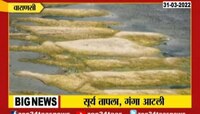 VIDEO | सूर्य तापला गंगा आटली