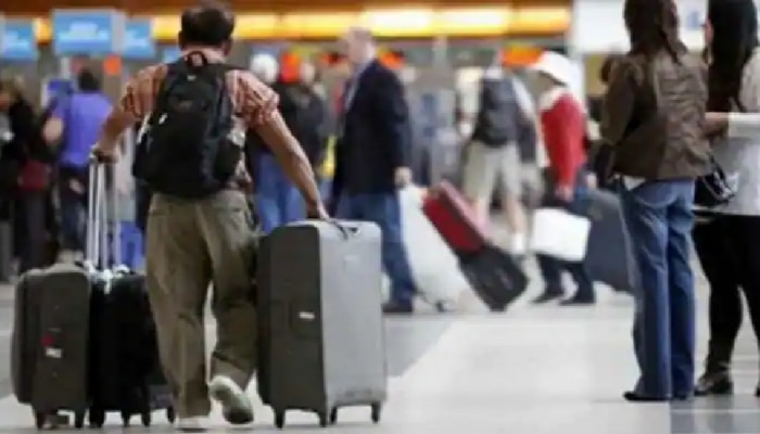 विमान प्रवासात हरवली बॅग,  शोधण्यासाठी प्रवाशाने केलं असं काही... विमान कंपनीला बसला धक्का