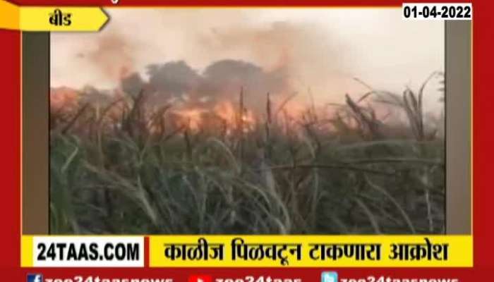 Sugarcan Farm Burn Due To Mistakes Of Mahavitaran