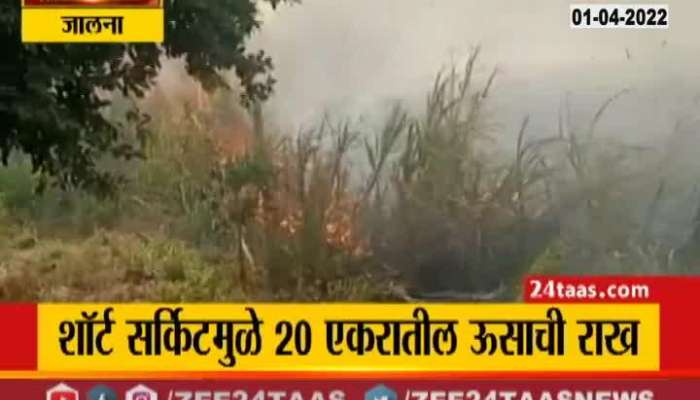 sugarcane crop fire due to short circuit in jalna