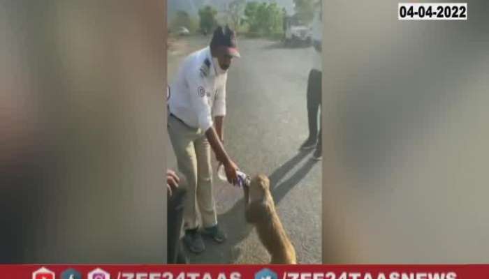 maharastra police giving water to thirsty monkey his kindness video went viral on social media