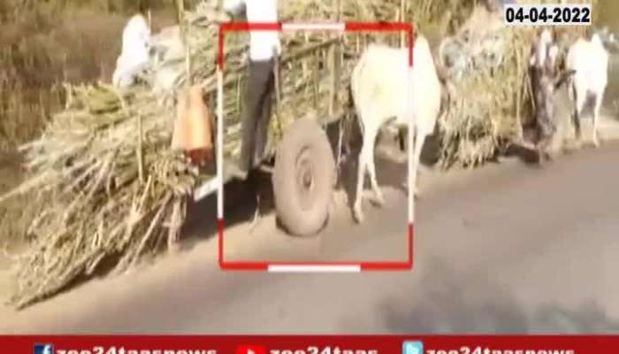 Maval Sandeep Pansare Gets Hand Brake To Bullock Carts