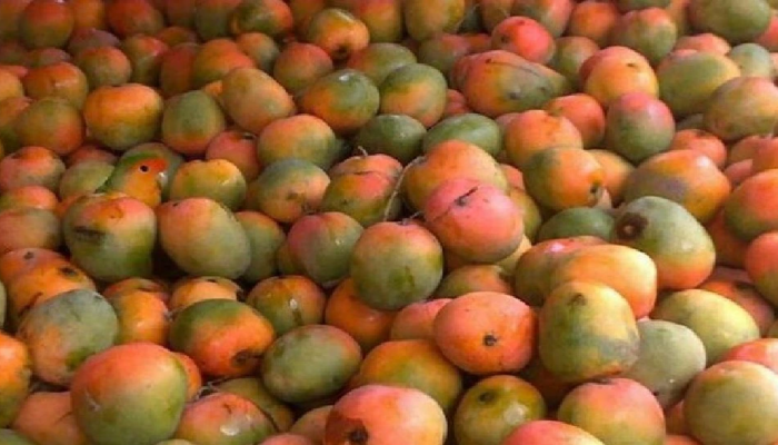 आंब्याच्या पेटीत लपलेली चिमणी दिसली का? शोधा शोधा...