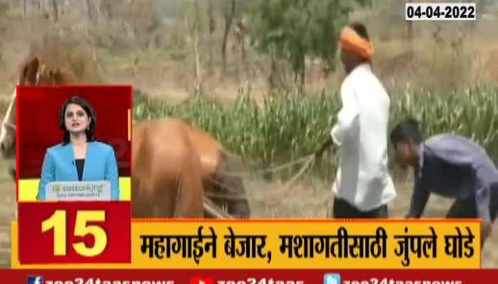 Washim Farmers Use Horse For Farming